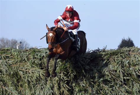 How to pick the 2019 Grand National winner.